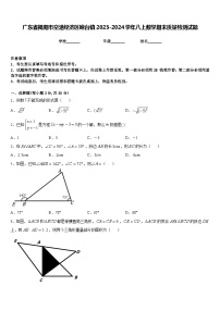 广东省揭阳市空港经济区砲台镇2023-2024学年八上数学期末质量检测试题含答案