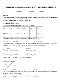 广东省梅州市梅江实验中学2023-2024学年数学八年级第一学期期末统考模拟试题含答案