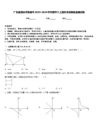 广东省清远市英德市2023-2024学年数学八上期末质量跟踪监视试题含答案