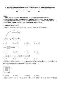 广东省汕头市潮南区司马浦镇2023-2024学年数学八上期末综合测试模拟试题含答案