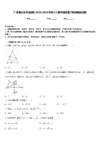 广东省汕头市龙湖区2023-2024学年八上数学期末复习检测模拟试题含答案