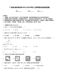 广东省汕尾市海丰县2023-2024学年八上数学期末达标测试试题含答案