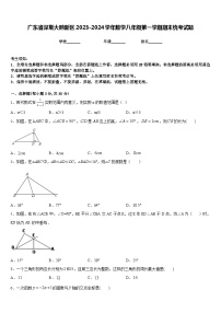 广东省深圳大鹏新区2023-2024学年数学八年级第一学期期末统考试题含答案