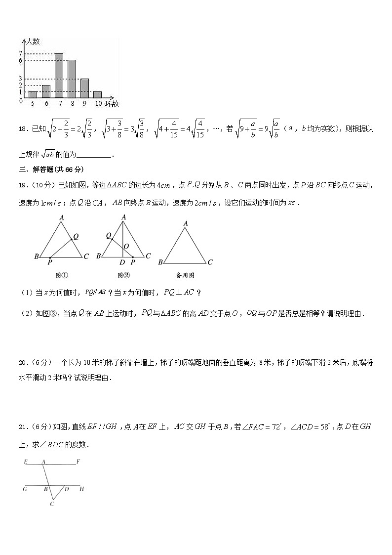 广东省深圳市福田区侨香外国语学校2023-2024学年数学八上期末检测模拟试题含答案03