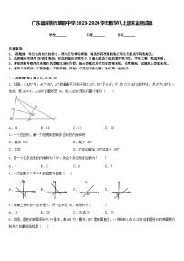 广东省深圳市翠园中学2023-2024学年数学八上期末监测试题含答案