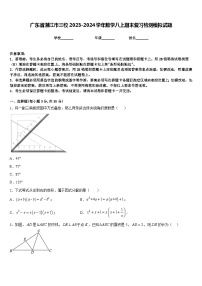 广东省湛江市三校2023-2024学年数学八上期末复习检测模拟试题含答案