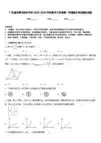 广东省深圳市西乡中学2023-2024学年数学八年级第一学期期末考试模拟试题含答案