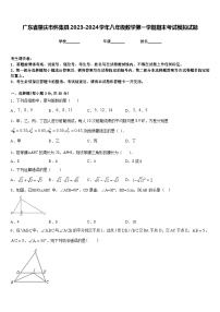 广东省肇庆市怀集县2023-2024学年八年级数学第一学期期末考试模拟试题含答案