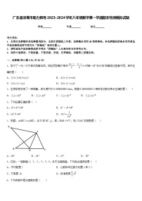 广东省深圳市助力教育2023-2024学年八年级数学第一学期期末检测模拟试题含答案