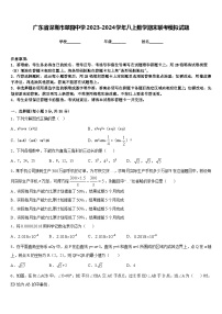 广东省深圳市翠园中学2023-2024学年八上数学期末联考模拟试题含答案