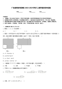 广东省珠海市香洲区2023-2024学年八上数学期末统考试题含答案