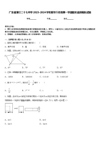 广东省湛江二十七中学2023-2024学年数学八年级第一学期期末监测模拟试题含答案