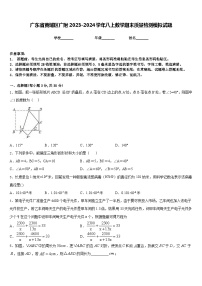 广东省黄埔区广附2023-2024学年八上数学期末质量检测模拟试题含答案