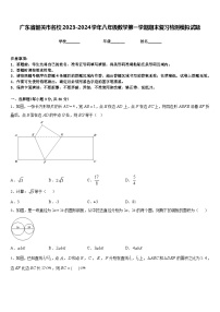 广东省韶关市名校2023-2024学年八年级数学第一学期期末复习检测模拟试题含答案