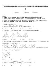 广西北部湾经济区四市同城2023-2024学年八年级数学第一学期期末质量检测模拟试题含答案