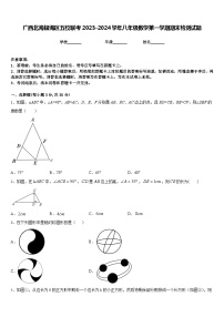 广西北海银海区五校联考2023-2024学年八年级数学第一学期期末检测试题含答案