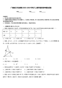 广西崇左市龙州县2023-2024学年八上数学期末联考模拟试题含答案