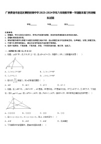 广西贵港市港北区第四初级中学2023-2024学年八年级数学第一学期期末复习检测模拟试题含答案