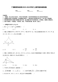 广西柳州市融安县2023-2024学年八上数学期末调研试题含答案