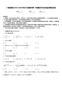 广西田阳县2023-2024学年八年级数学第一学期期末学业质量监测模拟试题含答案