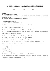 广西梧州市苍梧县2023-2024学年数学八上期末学业质量监测试题含答案