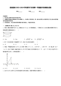 徽省临泉2023-2024学年数学八年级第一学期期末检测模拟试题含答案