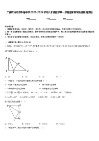 广西钦州市犀牛角中学2023-2024学年八年级数学第一学期期末教学质量检测试题含答案