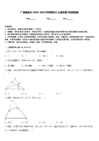 广西省崇左2023-2024学年数学八上期末复习检测试题含答案