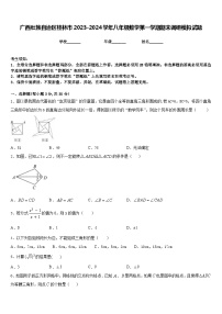 广西壮族自治区桂林市2023-2024学年八年级数学第一学期期末调研模拟试题含答案