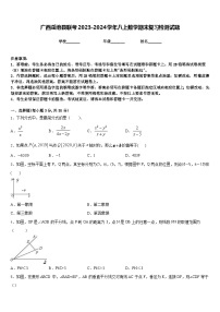 广西岳池县联考2023-2024学年八上数学期末复习检测试题含答案