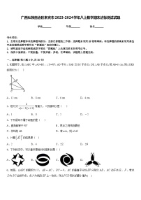 广西壮族自治区来宾市2023-2024学年八上数学期末达标测试试题含答案