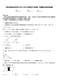 广西壮族自治区来宾市2023-2024学年数学八年级第一学期期末达标检测试题含答案