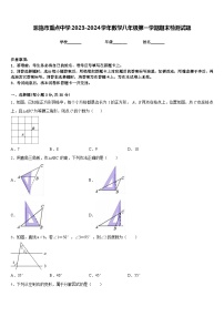 恩施市重点中学2023-2024学年数学八年级第一学期期末检测试题含答案