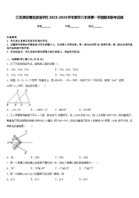 江苏淮安曙光双语学校2023-2024学年数学八年级第一学期期末联考试题含答案