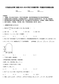 江苏省东台市第二联盟2023-2024学年八年级数学第一学期期末检测模拟试题含答案