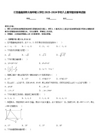 江苏省南京师大附中树人学校2023-2024学年八上数学期末联考试题含答案