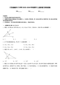 江苏省南京十八中学2023-2024学年数学八上期末复习检测试题含答案