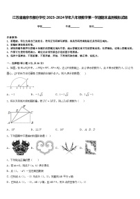 江苏省南京市部分学校2023-2024学年八年级数学第一学期期末监测模拟试题含答案