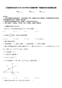 江苏扬州市仪征市2023-2024学年八年级数学第一学期期末综合测试模拟试题含答案