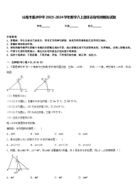 汕尾市重点中学2023-2024学年数学八上期末达标检测模拟试题含答案