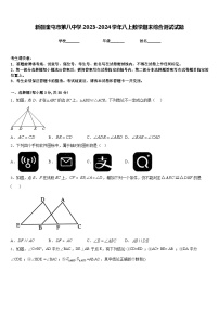 新疆奎屯市第八中学2023-2024学年八上数学期末综合测试试题含答案