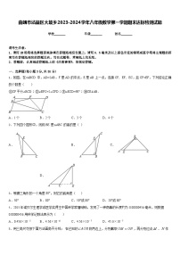 曲靖市沾益区大坡乡2023-2024学年八年级数学第一学期期末达标检测试题含答案