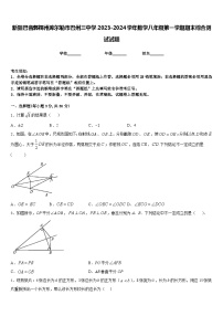 新疆巴音郭楞州库尔勒市巴州三中学2023-2024学年数学八年级第一学期期末综合测试试题含答案