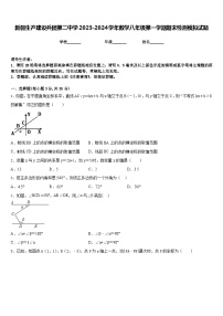 新疆生产建设兵团第二中学2023-2024学年数学八年级第一学期期末检测模拟试题含答案