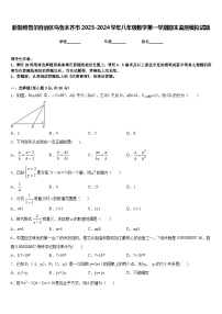 新疆维吾尔自治区乌鲁木齐市2023-2024学年八年级数学第一学期期末监测模拟试题含答案