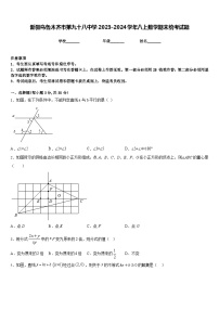 新疆乌鲁木齐市第九十八中学2023-2024学年八上数学期末统考试题含答案