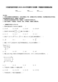 江苏省句容市华阳片2023-2024学年数学八年级第一学期期末经典模拟试题含答案