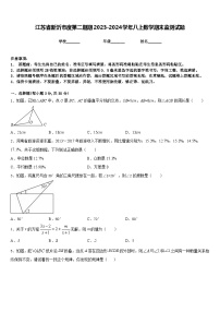 江苏省新沂市度第二期期2023-2024学年八上数学期末监测试题含答案