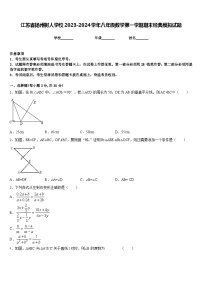 江苏省扬州树人学校2023-2024学年八年级数学第一学期期末经典模拟试题含答案