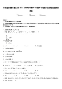 江苏省扬州市江都区实验2023-2024学年数学八年级第一学期期末质量跟踪监视模拟试题含答案